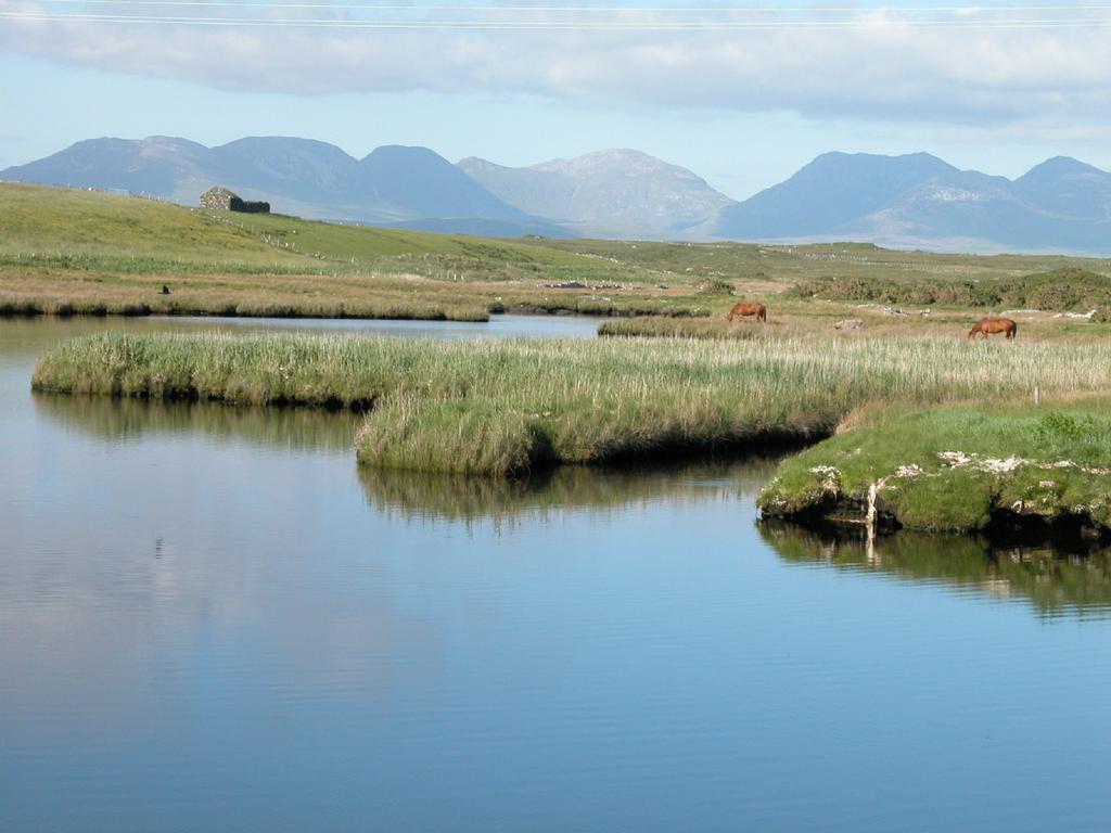 Glenderan B&B Westport Dış mekan fotoğraf